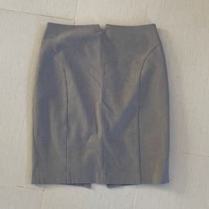 Express Pencil Skirt
